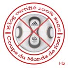 Blog certifié 100 % sans Coupe du Monde de Foot