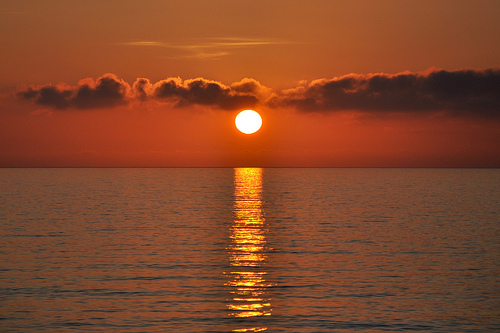 corse5
