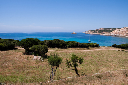 corse3