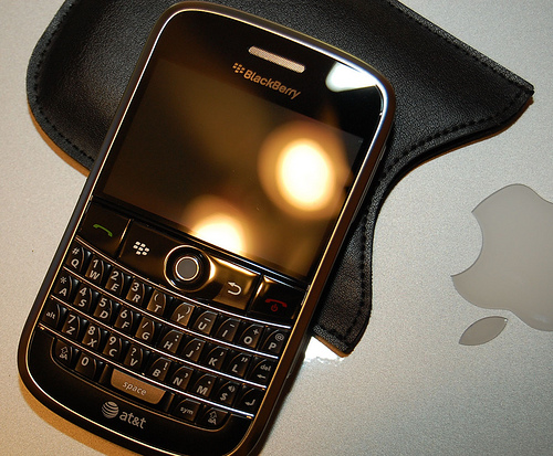 blackberry-bold-